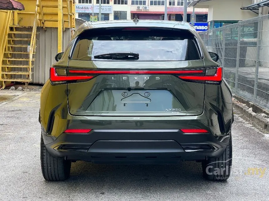 2022 Lexus NX 250 Luxury SUV