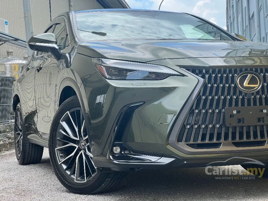 2022 Lexus NX 250 Luxury SUV