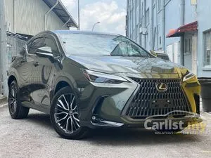 2022 Lexus NX 250 2.5 Luxury SUV