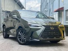 2022 Lexus NX 250 2.5 Luxury SUV