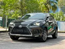2019 Lexus NX300 2.0 Version L 27K Km Nori Green Rare Color