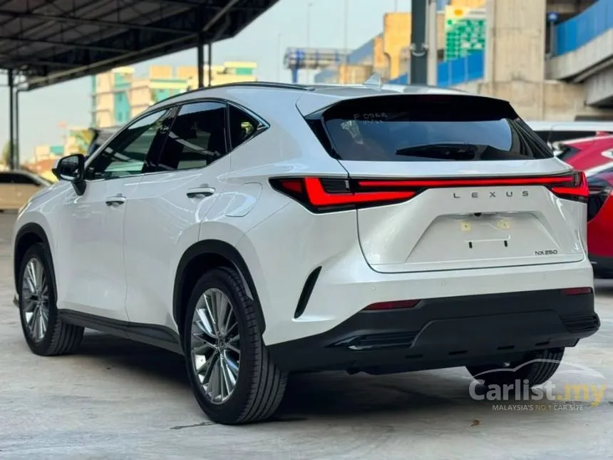 2023 Lexus NX 250 Luxury SUV