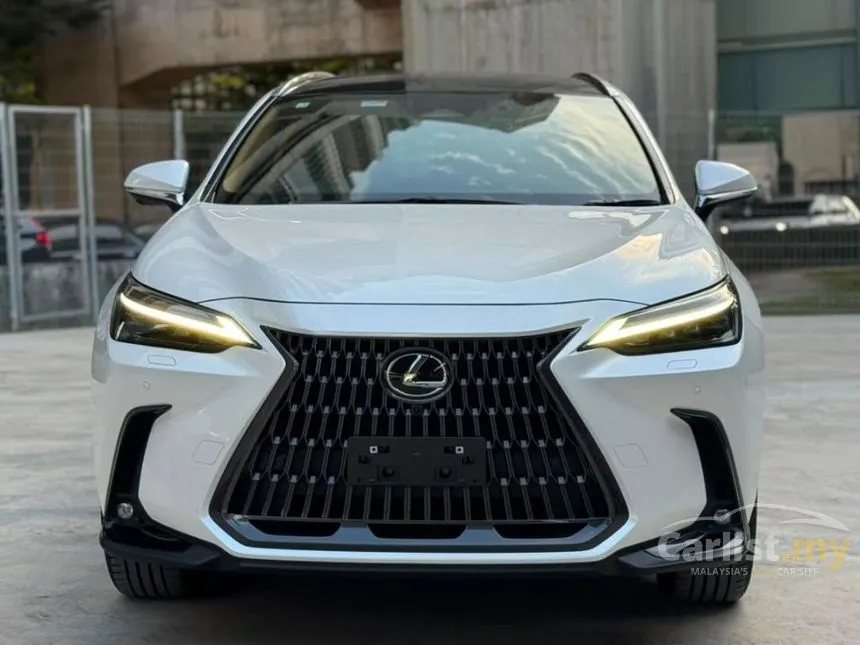 2023 Lexus NX 250 Luxury SUV