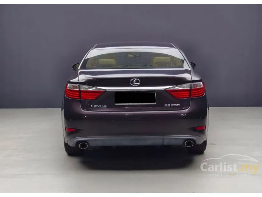 2013 Lexus ES 250 Luxury Sedan