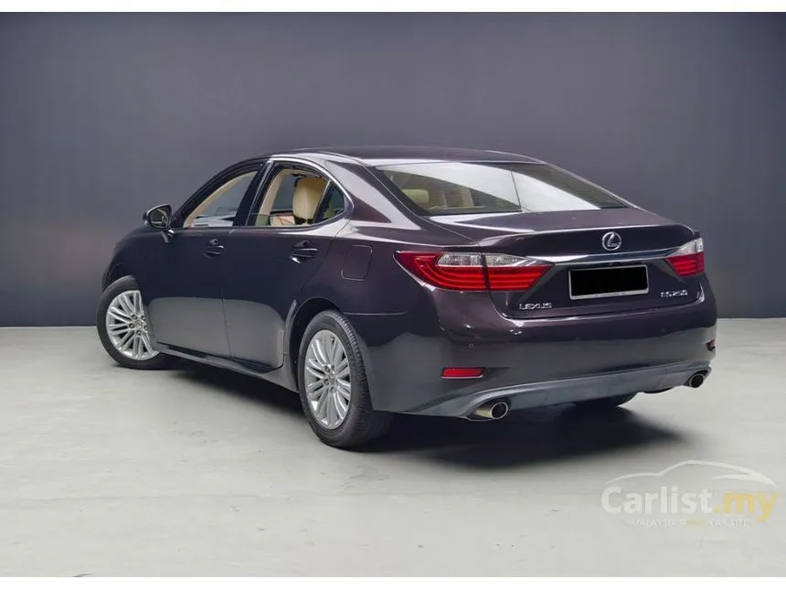 2013 Lexus ES 250 Luxury Sedan