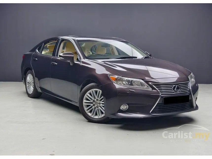 2013 Lexus ES 250 Luxury Sedan