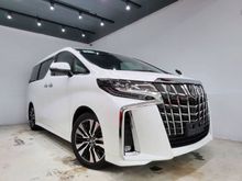2019 Toyota Alphard 2.5 SC 9090KM 5AA BSM DIM 3LED UNREG