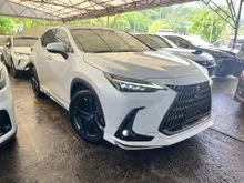 2023 Lexus NX 250 2.5 Luxury (Brown Interior)