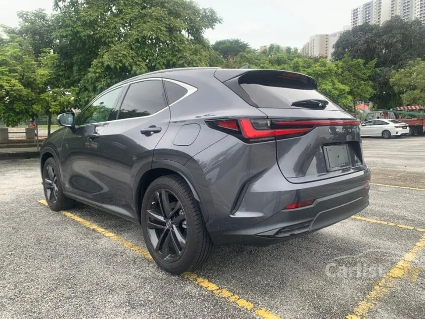 2022 Lexus NX 250 Luxury SUV