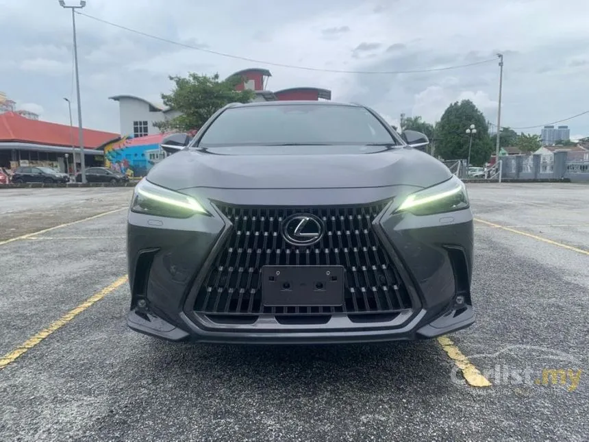 2022 Lexus NX 250 Luxury SUV