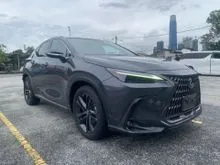 2022 Lexus NX 250 2.5 Luxury SUV