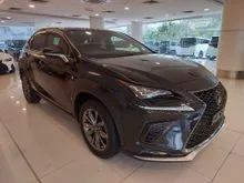 2021 Lexus NX 300 2.0 F Sport SUV