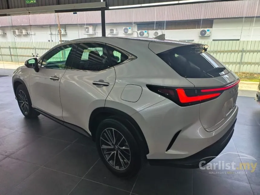 2023 Lexus NX 250 Luxury SUV