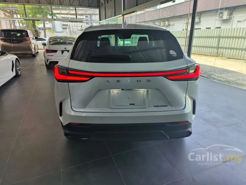 2023 Lexus NX 250 Luxury SUV