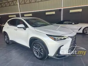 2023 Lexus NX 250 2.5 Luxury SUV