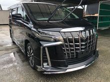 Toyota Alphard SC FULL SPEC /JBL / MODELLISTA BODY KIT