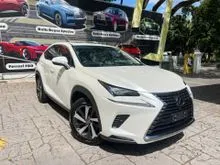 2021 LEXUS NX300 I-PACKAGE ( 13K MILEAGE ) 360 SURROUND VIEW CAMERA WITH SUNROOF
