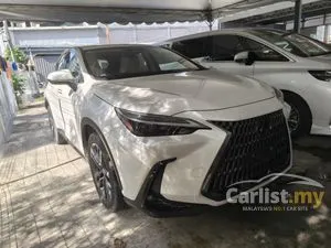 2022 Lexus NX 250 2.5 Luxury SUV