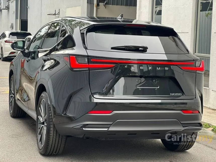 2023 Lexus NX250 Luxury SUV