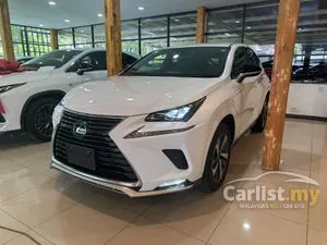 2020 Lexus NX 300 2.0 Spice & Chic SUV