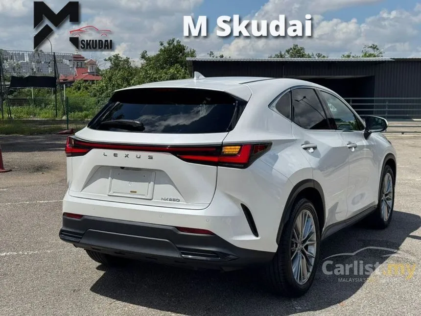2023 Lexus NX 250 Luxury SUV