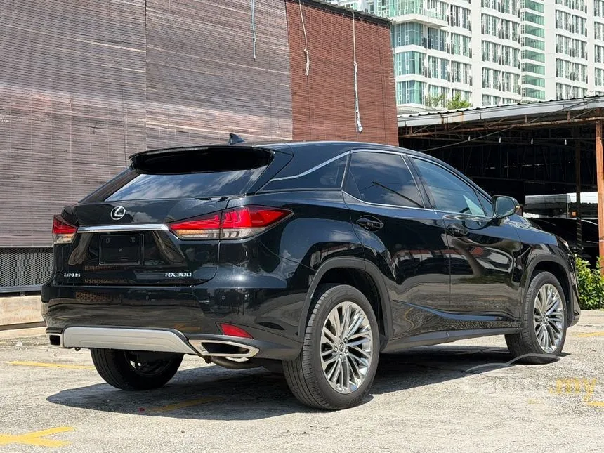 2022 Lexus RX 300 Luxury SUV