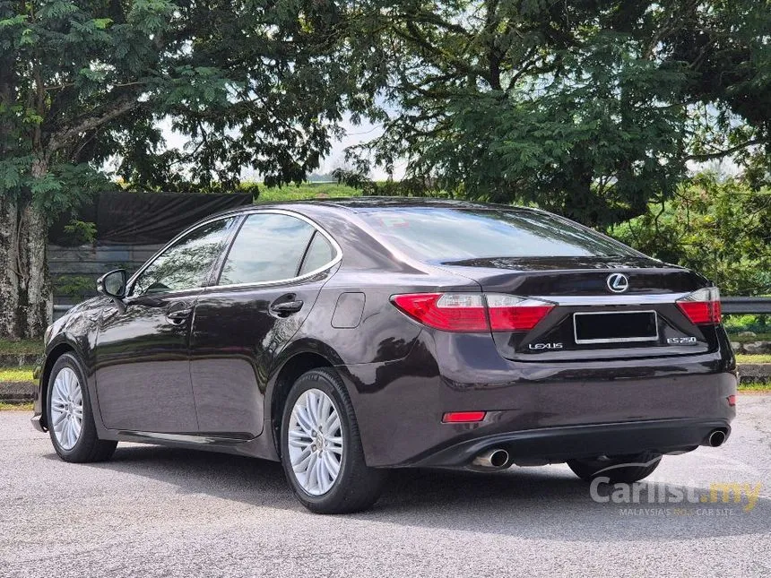 2014 Lexus ES 250 Luxury Sedan