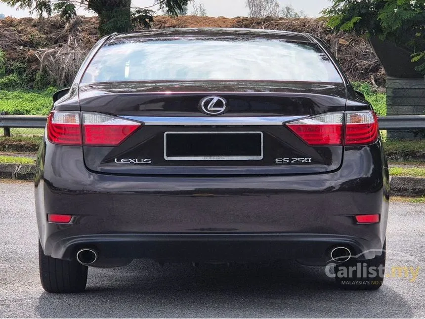 2014 Lexus ES 250 Luxury Sedan