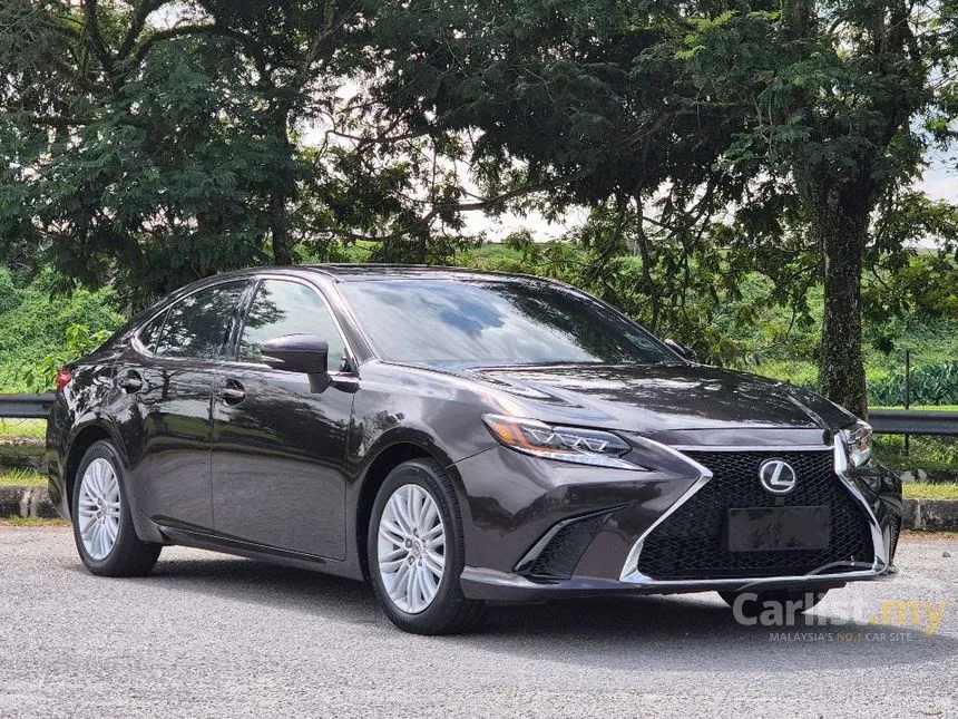 2014 Lexus ES 250 Luxury Sedan
