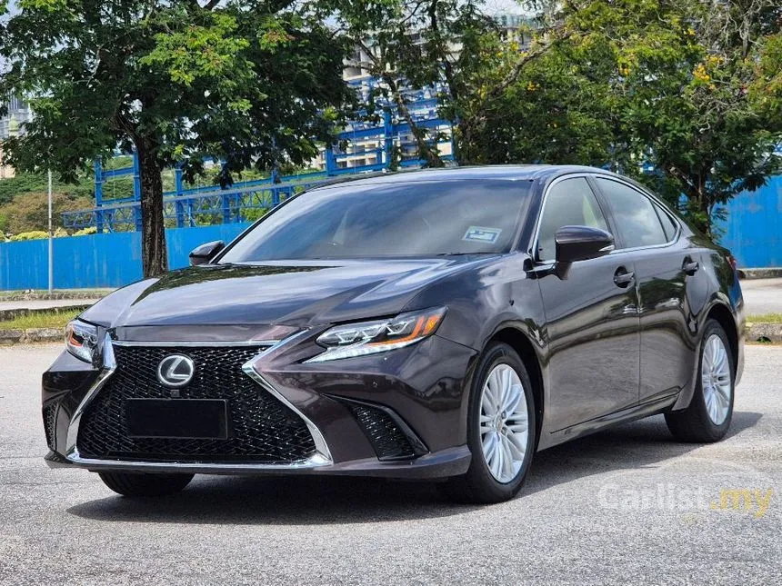 2014 Lexus ES 250 Luxury Sedan