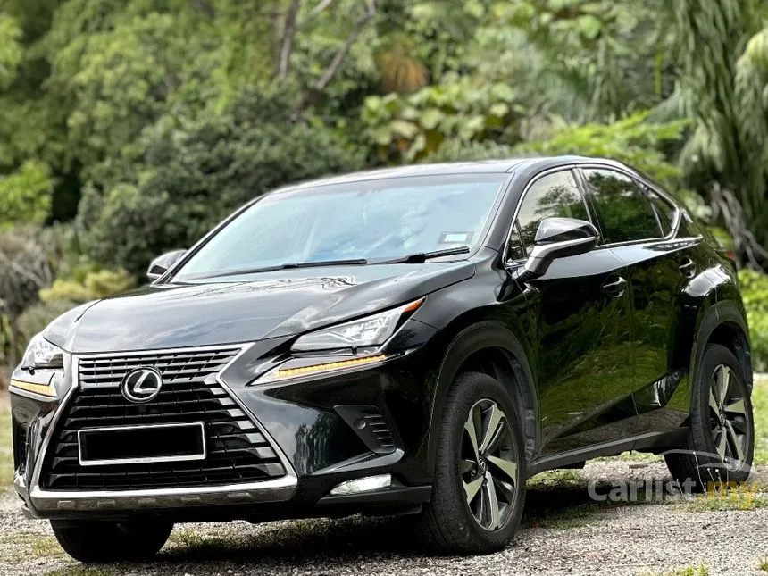 2018 Lexus NX 300 SUV