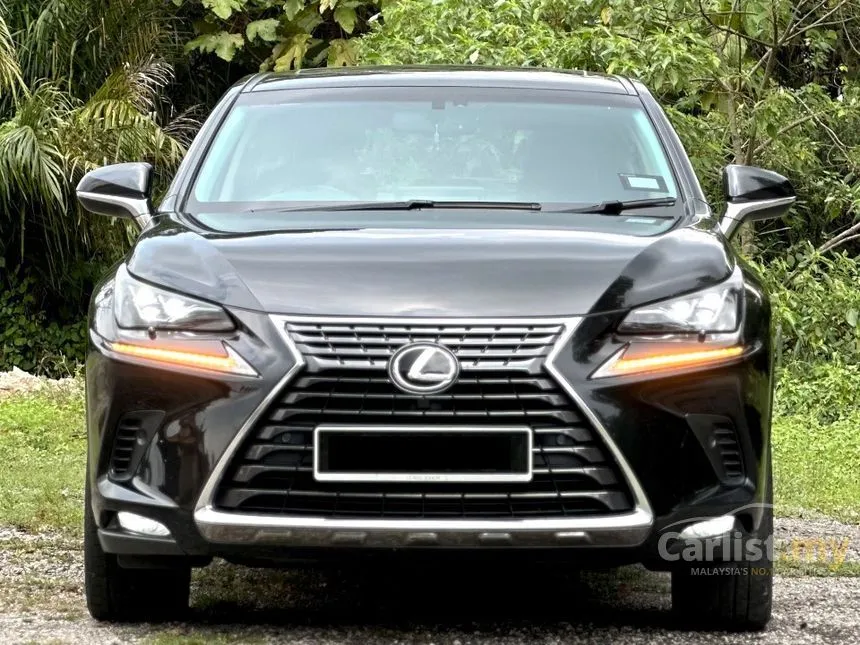 2018 Lexus NX 300 SUV