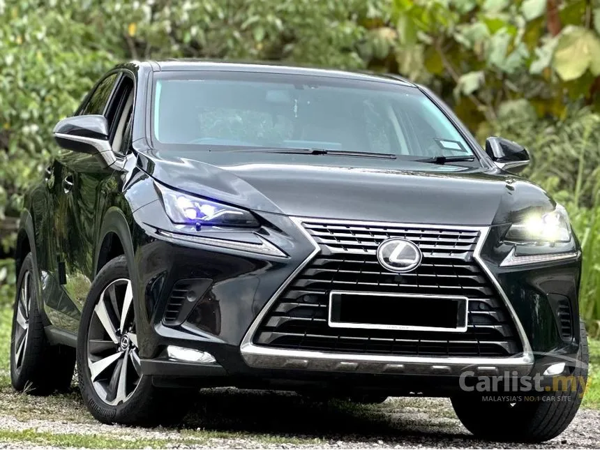 2018 Lexus NX 300 SUV