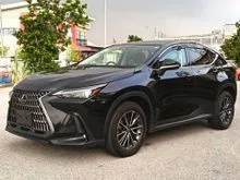 2022 Lexus NX 250 2.5 Luxury SUV