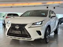 2021 Lexus NX 300 2.0 I-PACKAGE SUV ONLY 13K KM GRADE 4.5B RED INTERIOR 360 SURROUND VIEW CAMERA POWERED BOOT MEMORY SEAT