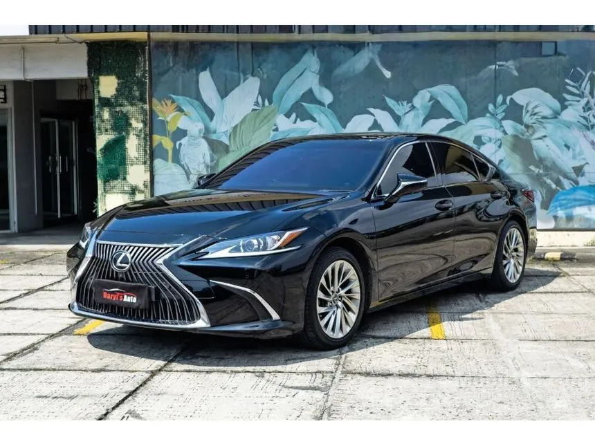 2019 Lexus ES 250 Ultra Luxury Sedan