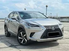 2018 Lexus NX 300 2.0 Premium SUV