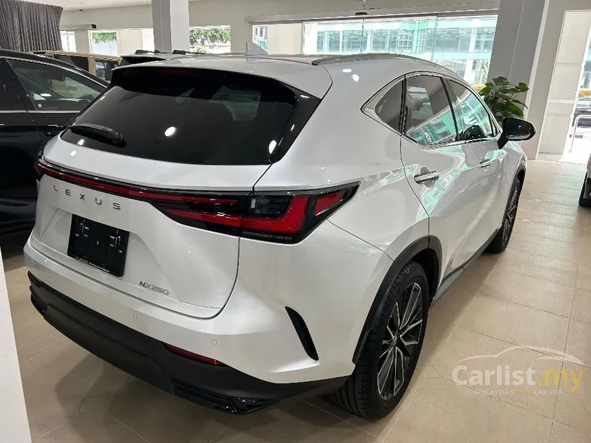 2023 Lexus NX 250 Luxury SUV