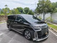 2018/2019 Toyota Alphard 2.5 G S C Package (A)