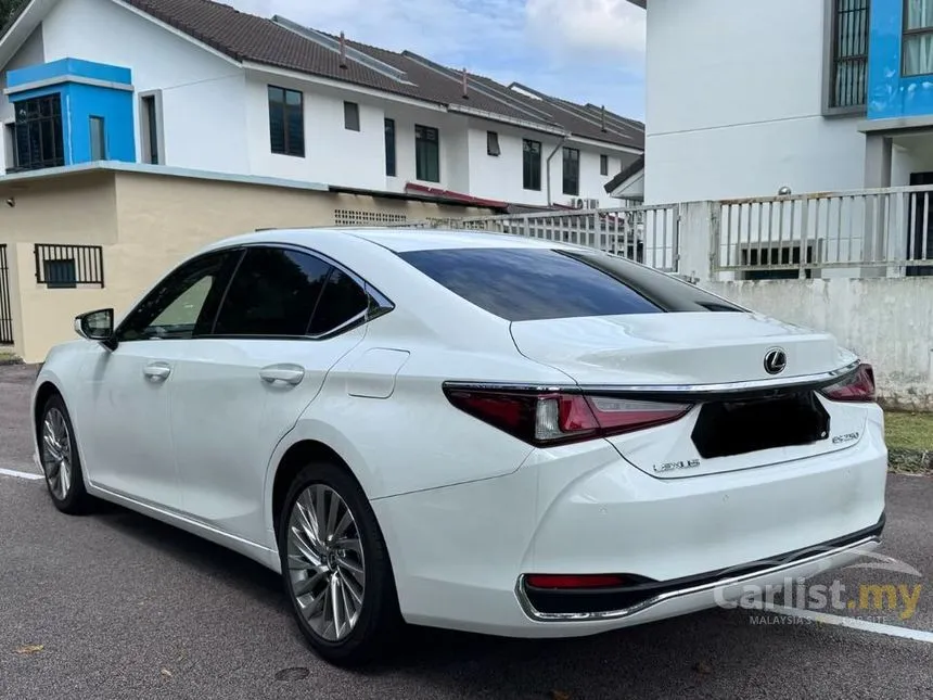 2021 Lexus ES 250 Luxury Sedan