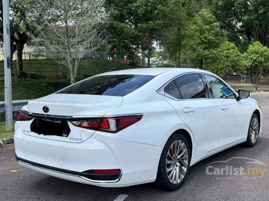2021 Lexus ES 250 Luxury Sedan
