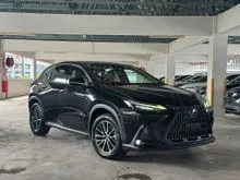 2021 Lexus NX 250 2.5 Luxury SUV