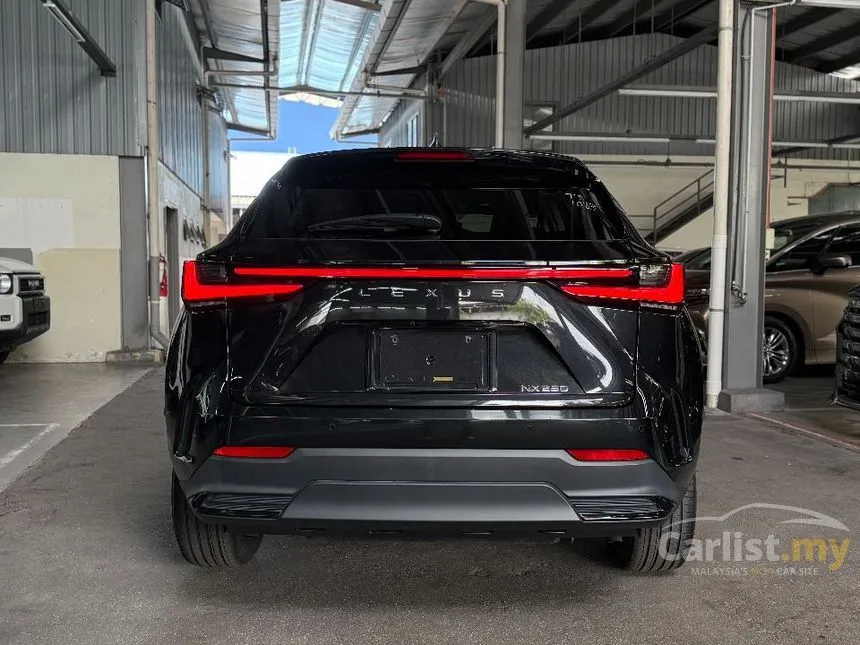 2023 Lexus NX 250 SUV