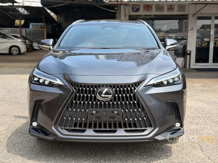 2022 Lexus NX 250 Luxury SUV