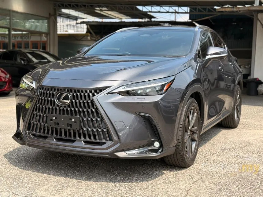 2022 Lexus NX 250 Luxury SUV