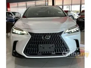 2022 Lexus NX 250 2.5 Luxury SUV