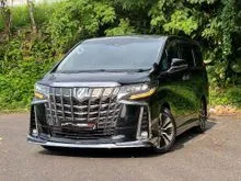 TOYOTA ALPHARD 2.5 G SC MODELLISTA MPV 1 LADY OWNER TILL NOW AGH30 FULL SPEC REVERSE CAMERA , POWER BOOT , PILOT SEAT