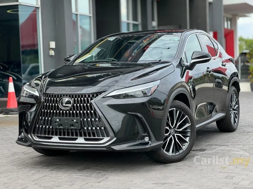 2024 Lexus NX 250 Luxury SUV