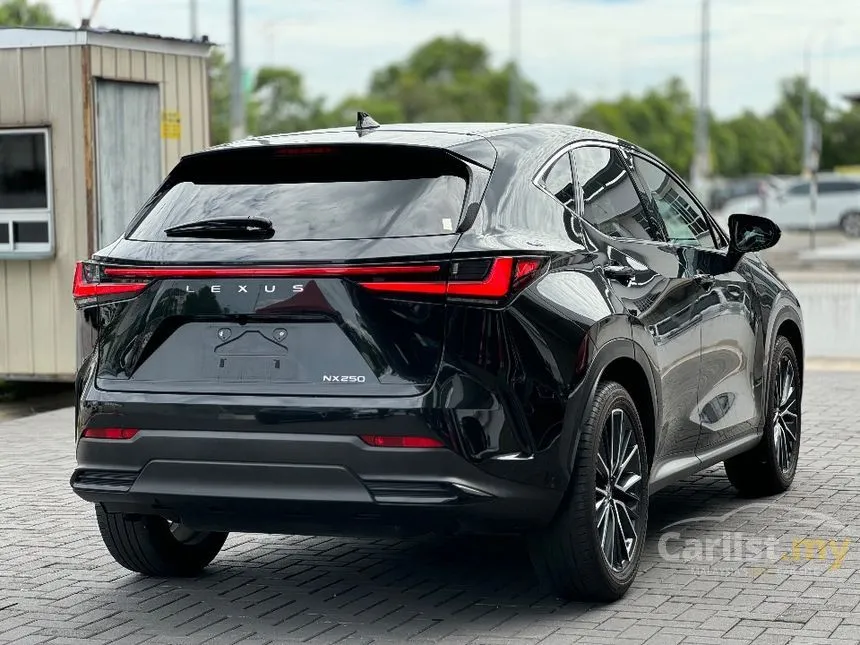 2024 Lexus NX 250 Luxury SUV