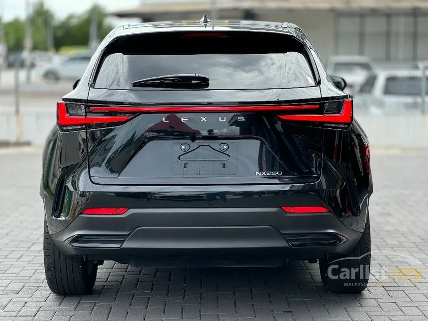 2024 Lexus NX 250 Luxury SUV